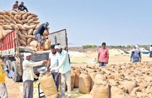 यूपी में प्रतिदिन बढ़ रहे किसानों के पंजीकरण, धान क्रय में भी आ रही तेजी