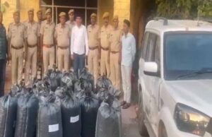 एएनटीएफ का ड्रग्स माफिया पर शिकंजा: जोधपुर में 82 लाख का डोडा पोस्त जब्त
