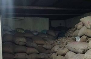 रायगढ़ में बड़ी कार्रवाई: 30 प्रकरणों से 3,266 क्विंटल अवैध धान जब्त, कीमत एक करोड़ पार