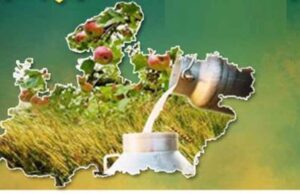 भारत का फूड-बास्केट बना MP: कृषि विकास में रचा नया कीर्तिमान