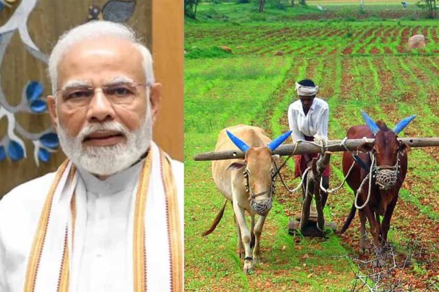 kisan1-6.jpg
