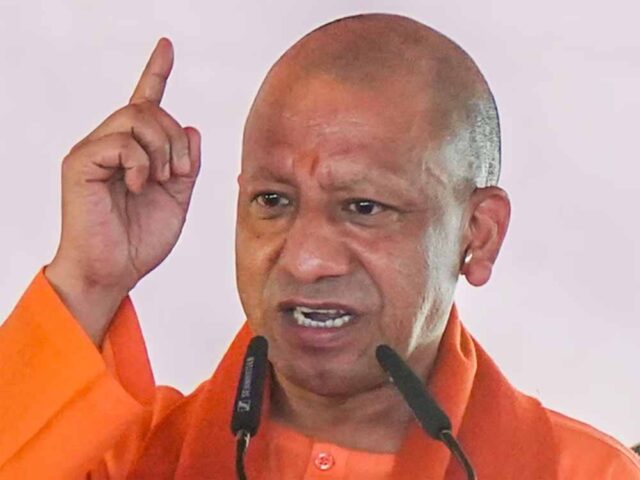 yogi1-20.jpg