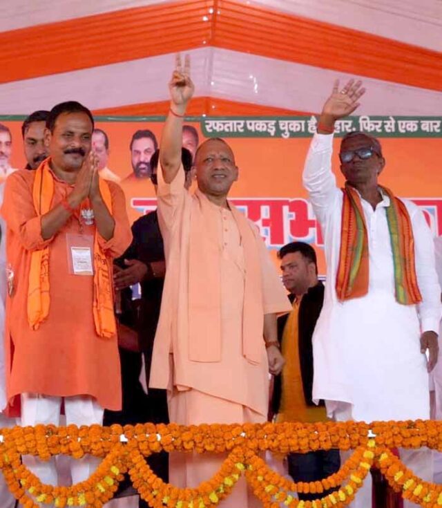 yogi1-4.jpg