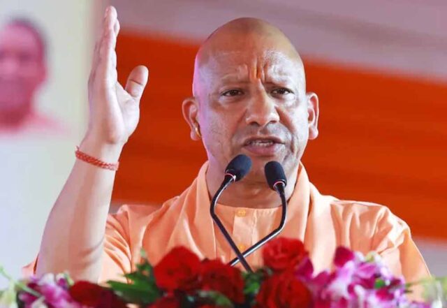 yogi2-9.jpg