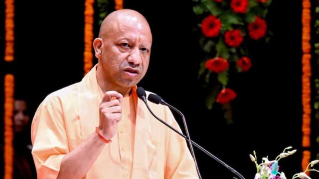 yogi4-1.jpg