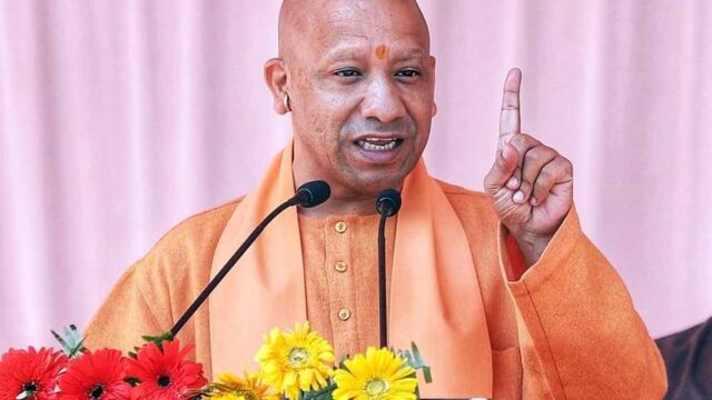 yogi4-2.jpg