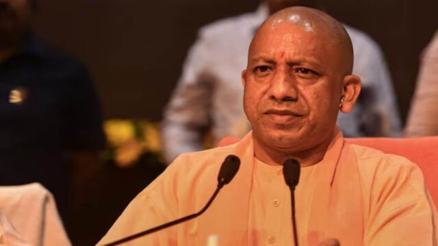 yogi_100-4.jpg