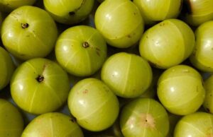 आंवले का जादू: सेहत के लिए क्यों है यह जरूरी
