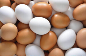 Egg Price रिकॉर्ड हाई: सर्दियों में 25–50% तक महंगे हुए अंडे, जनवरी में और बढ़ोतरी संभव