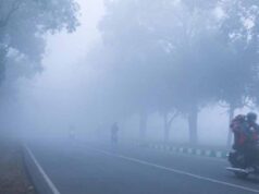अगले 48 घंटे ठिठुरन भरे: छत्तीसगढ़ के कई जिलों में कड़ाके की ठंड का अलर्ट