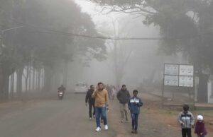 मध्य प्रदेश में सीजन का पहला कोहरा, मुरैना-रायसेन में 50 मीटर की विजिबिलिटी, 14 जिलों में अलर्ट जारी