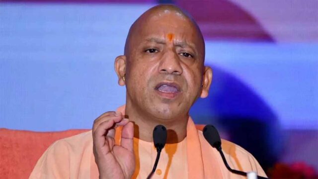 yogi19.jpg
