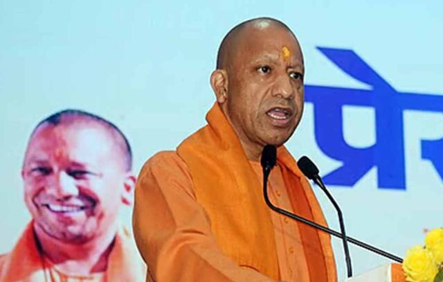 yogi_d_93_3-4.jpg