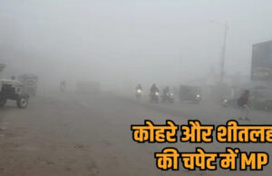 सर्दी का सितम जारी: कई जिलों में कोहरा और बादलों के बीच बारिश के आसार