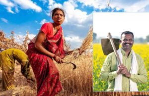 किसानों की मेहनत से भारत ने बनाई नई ऊंचाई, चीन भी रह गया पीछे, जानें क्यों है यह बड़ी खबर
