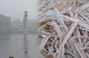 जगदलपुर सबसे गर्म, अंबिकापुर में 11.9°C, रायपुर-पेंड्रा-मैनपाट में कोहरे से प्रभावित जिले