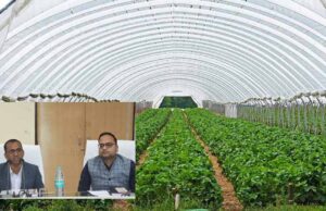 पीवीटीजी क्षेत्रों में उद्यानिकी योजनाओं के प्रभावी क्रियान्वयन पर विशेष फोकस करें: कलेक्टर वसंत