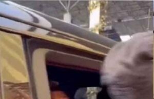 मैच के बाद सेल्फी मांगना पड़ा भारी, रोहित शर्मा का गुस्सा कैमरे में कैद