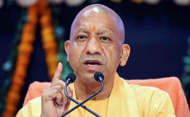 yogi1-5.jpg