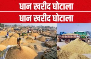 रायपुर में धान खरीदी घोटाला, 104 बोरी को 850 बताकर समिति प्रभारी ने सरकार को 7 लाख का नुकसान पहुंचाया, FIR दर्ज