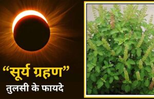 सूर्य ग्रहण के समय क्यों आवश्यक है तुलसी और गंगाजल? जानिए शास्त्रों में वर्णित कारण