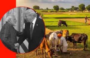 भारत का बड़ा कदम: कृषि और डेयरी सेक्टर पर सुरक्षा कवच, अमेरिका के लिए नहीं मिली कोई राहत