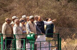 कूनो नेशनल पार्क में छोड़े गए बोत्सवाना से लाए गए 9 चीते