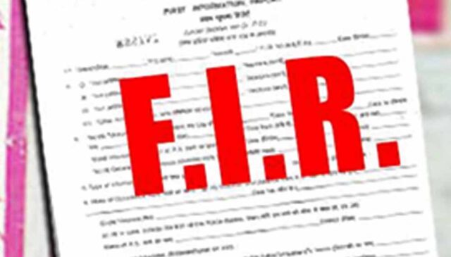 Fir_01.jpg