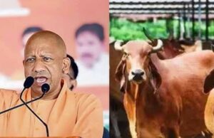 योगी सरकार ने गोवंश के लिए किए ऐतिहासिक कार्य, पहले कभी नहीं मिली इतनी सुरक्षा-सहूलियत