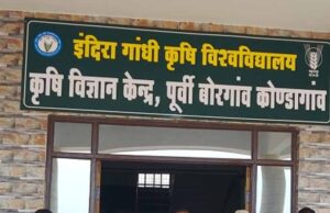 कोंडागांव में कसावा खेती की नई पहल, कृषि विज्ञान केंद्र ने किया नवाचार