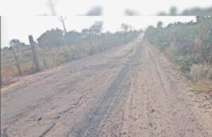 राजस्थान विधानसभा में उठा सीमावर्ती जर्जर सड़कों का ‘मुद्दा’