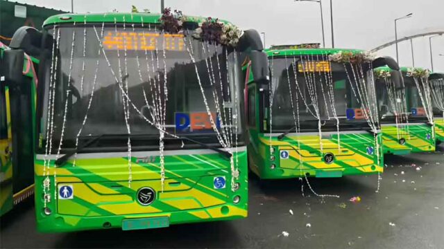 elebus1.jpg