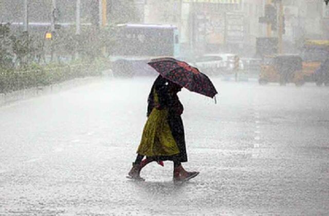 rain_senofull1.jpg