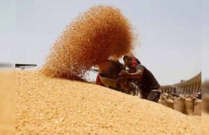 आष्टा मंडी में रबी सीजन की शुरुआत, 2585 रुपये MSP से किसानों की उम्मीदें बढ़ीं