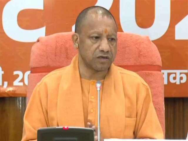 yogi1-3.jpg
