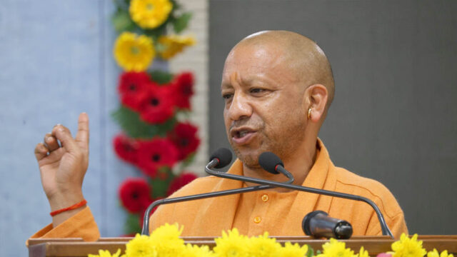 yogi_133_5-4.jpg