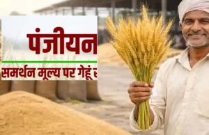 खाद्य मंत्री राजपूत का ऐलान, इंदौर, उज्जैन, भोपाल और नर्मदापुरम संभाग में 1 अप्रैल से होगी गेहूँ खरीदी