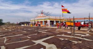 मां बिरासिनी धाम बिलासपुर में चैत्र नवरात्रि के नवमी के दिन श्रद्धा का उमड़ा सैलाब