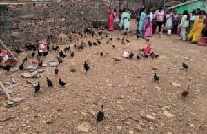 एक्सपोजर विजिट में सीखीं इंटीग्रेटेड फार्मिंग की बारीकियां