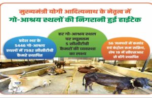 योगी सरकार में गो-आश्रय स्थलों की निगरानी हुई हाईटेक