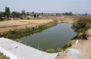 अमृत सरोवर से रिझोरा में लौटी हरियाली और खुशहाली