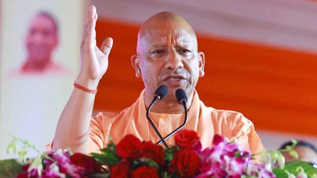 Yogi_02-11.jpg