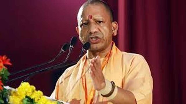 Yogi_2.jpg