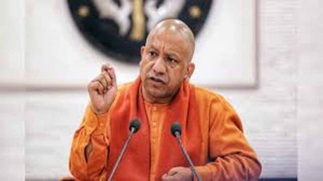 cM_yOGI_02-6.jpg