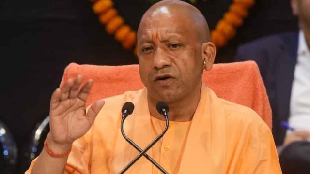 yogi1-2.jpg