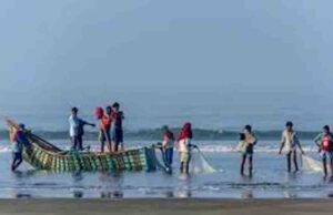 ब्लैक मार्केट में 10 हजार तक पहुंचा एलपीजी सिलिंडर, महाराष्ट्र और गोवा के फिशरीज सेक्टर पर छाई आर्थिक मंदी