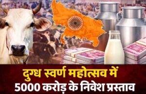 दुग्ध स्वर्ण महोत्सव-2026: योगी सरकार के विजन से डेयरी सेक्टर को मिली नई रफ्तार