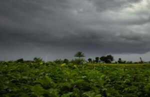 मध्यप्रदेश में ओले और आंधी-बारिश का दौर, 30 जिलों में बारिश और निमाड़ में ओले गिरने का अलर्ट