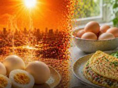 गर्मियों में अंडा खाना सुरक्षित या नहीं? एक्सपर्ट्स ने बताया पूरा सच