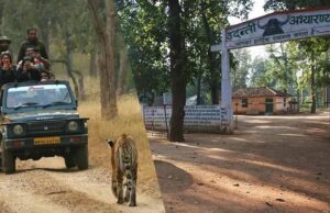 Forest Protection Model: उदंती सीतानदी में 750 जल स्रोतों के साथ ‘फायर-वॉटर’ रणनीति, आग पर काबू